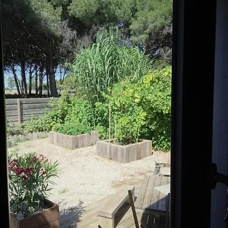 Corner Of Paradise With Heated Swimming Pool * Aigues-Mortes