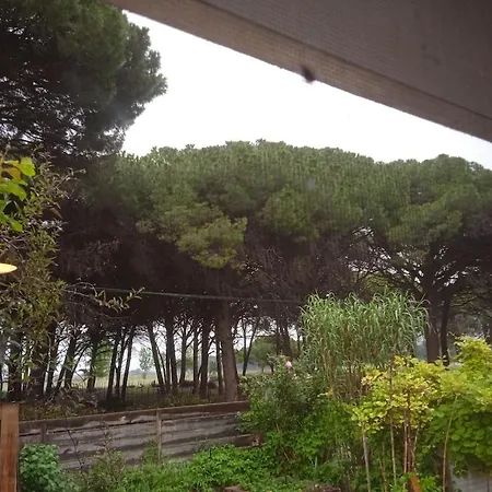 Corner Of Paradise With Heated Swimming Pool Vila Aigues-Mortes
