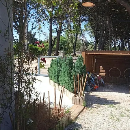 Corner Of Paradise With Heated Swimming Pool Aigues-Mortes