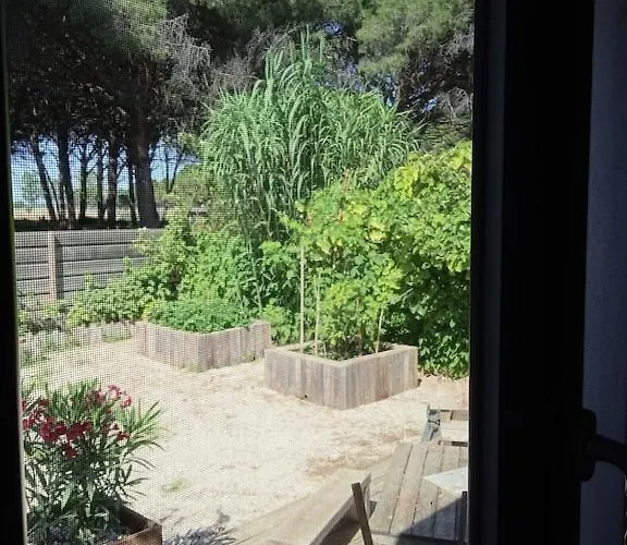 Corner Of Paradise With Heated Swimming Pool * Aigues-Mortes